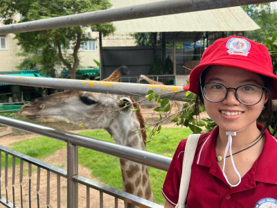 Video hint đi sở thú