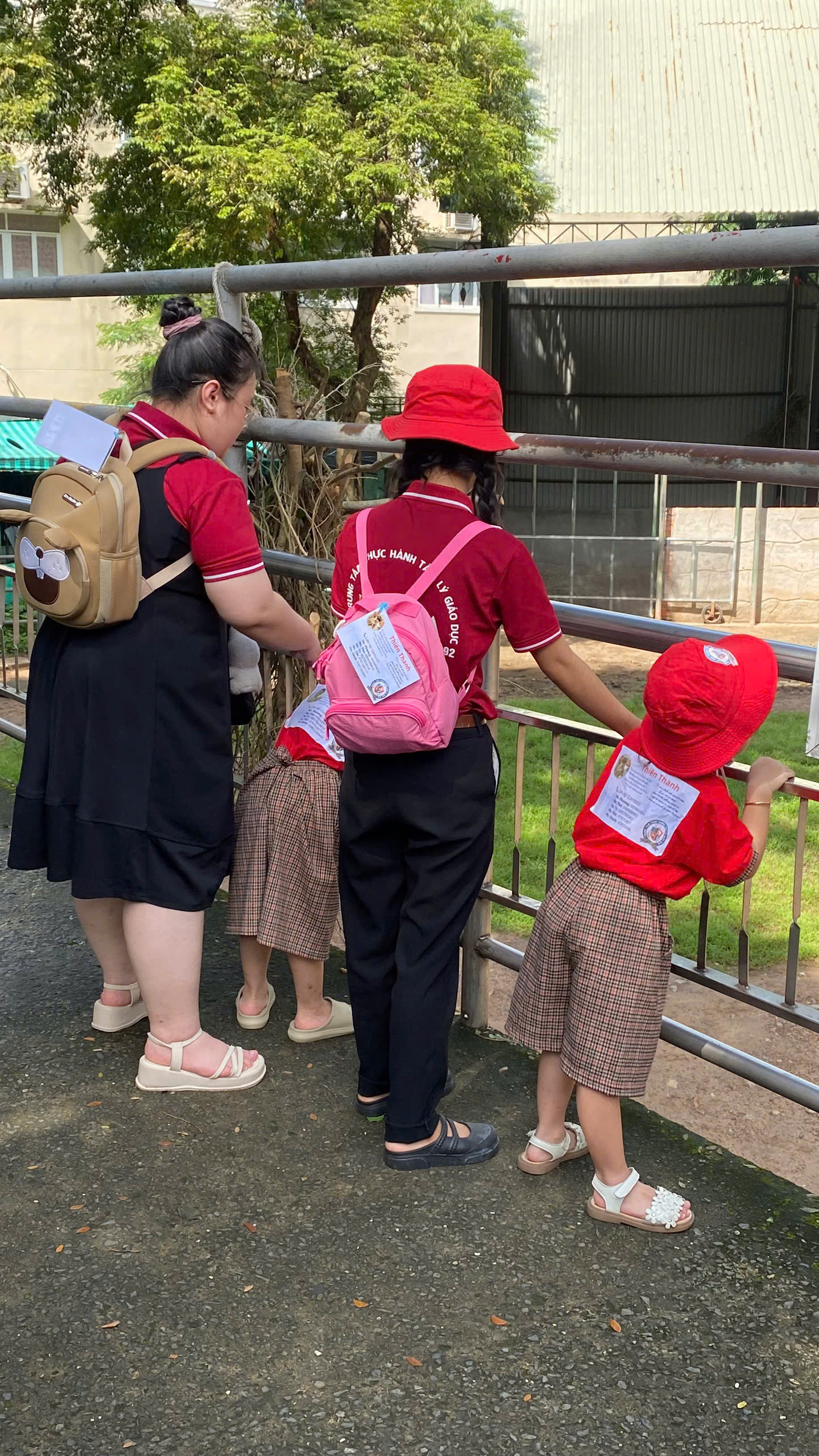 3104777517229a7cc333