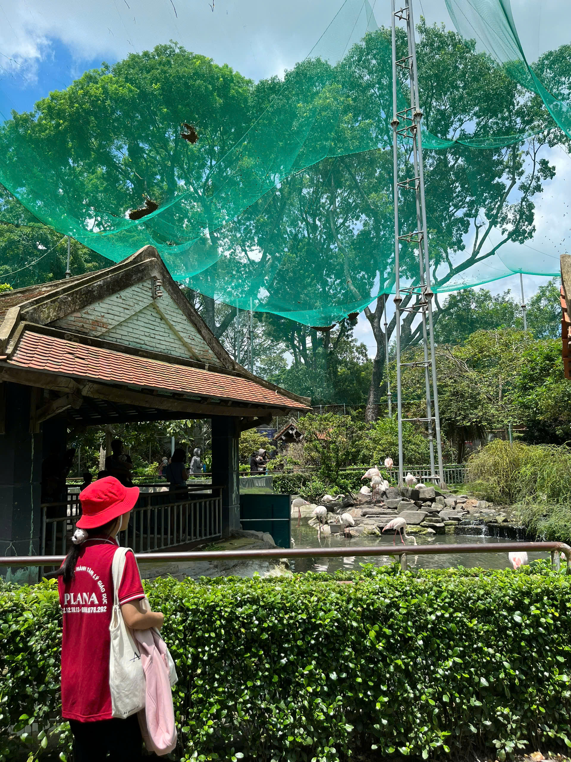 38b9e2e5594bd3158a5a