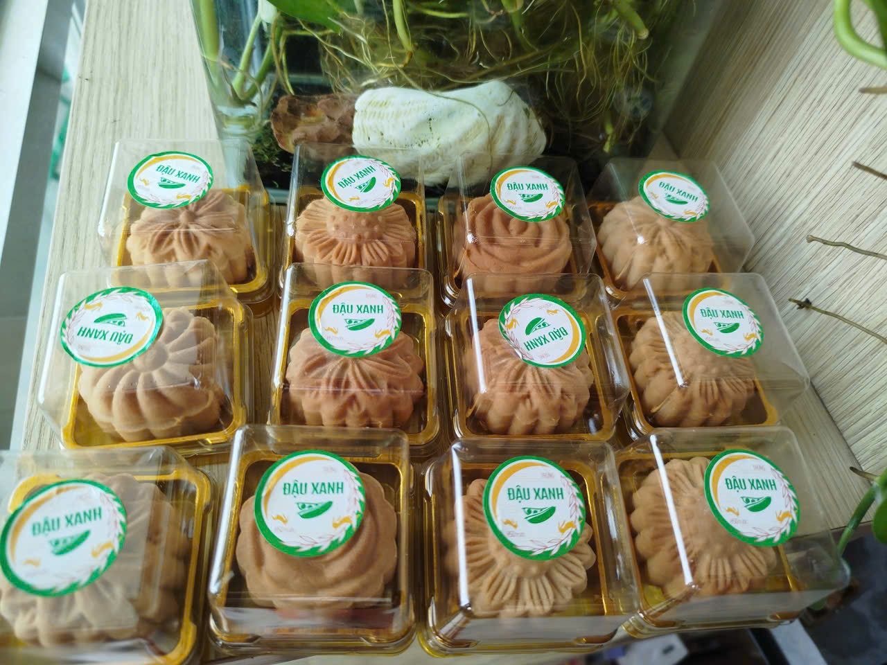 514c4242c6ec4cb215fd