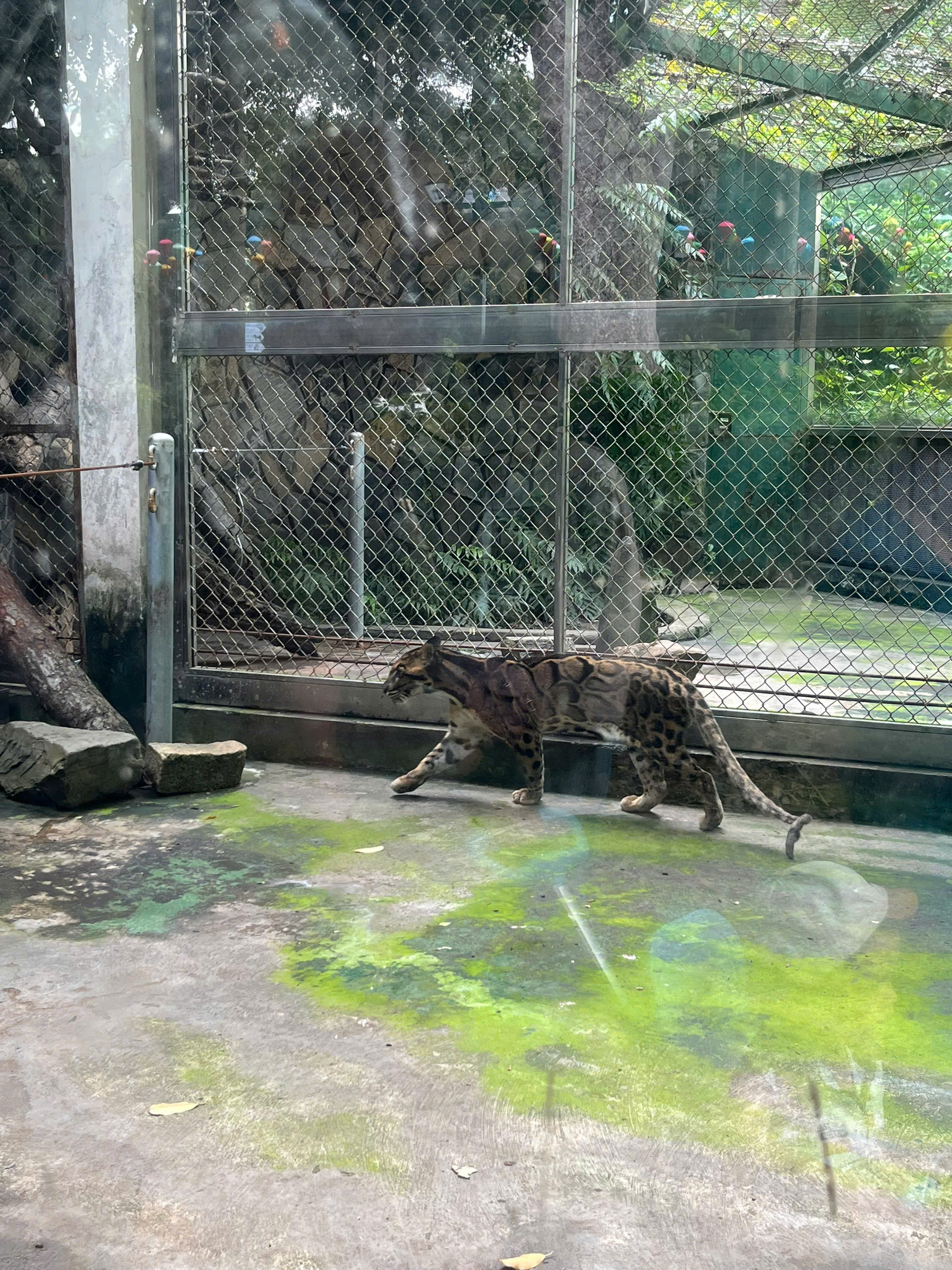 5f7da7841b2a9174c83b