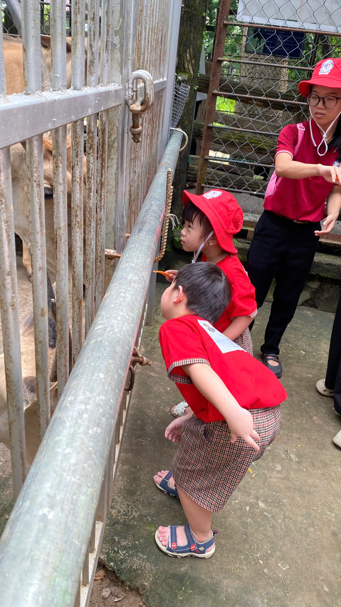 d23a1b647b33f66daf22