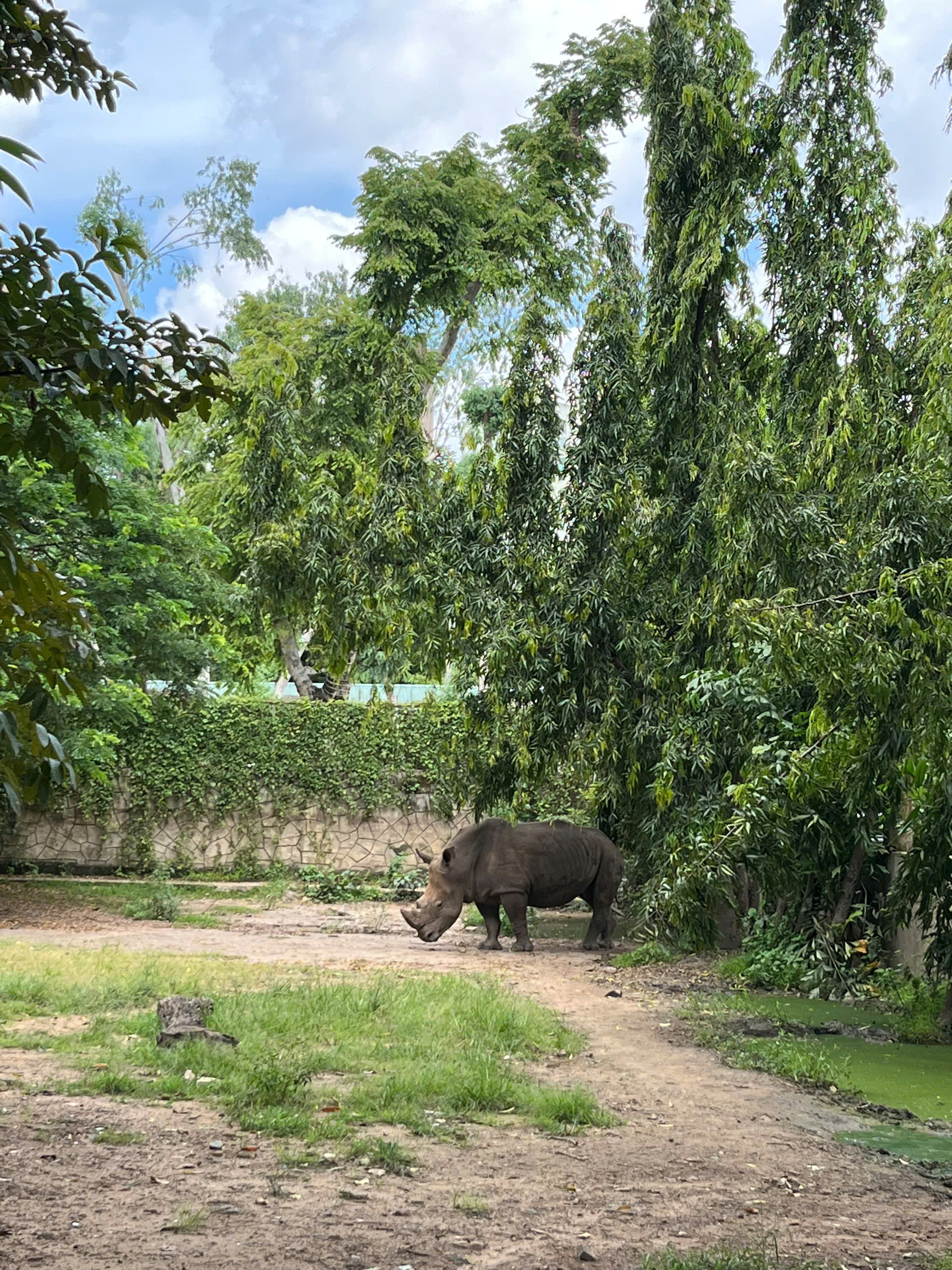 dff864a5d90b53550a1a