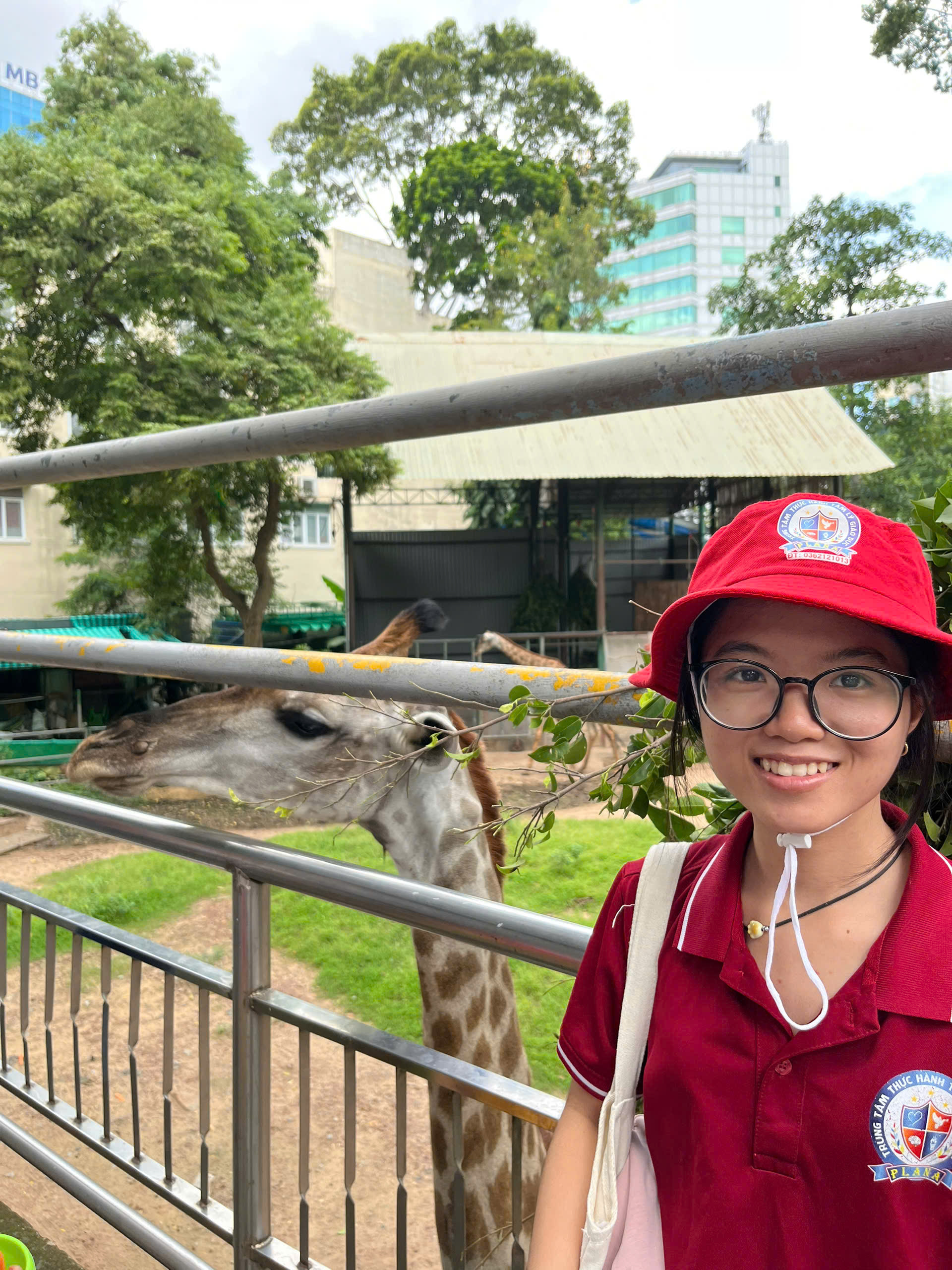 f6b55400e9ae63f03abf